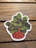 50 Plant stickers fun stickers