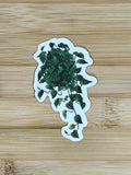 Plant Stickers H