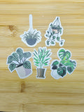 Plant Stickers C